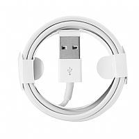 iPhone PD Cable